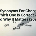 Synonyms For Chop: Which One Is Correct — and Why It Matters (2026) embassador or ambassador